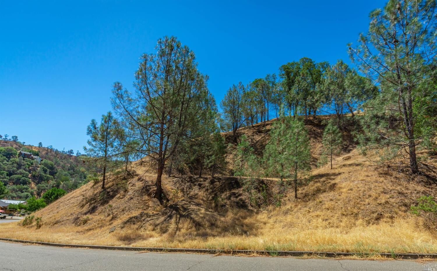 Property Photo:  1268 Steele Canyon Road  CA 94558 