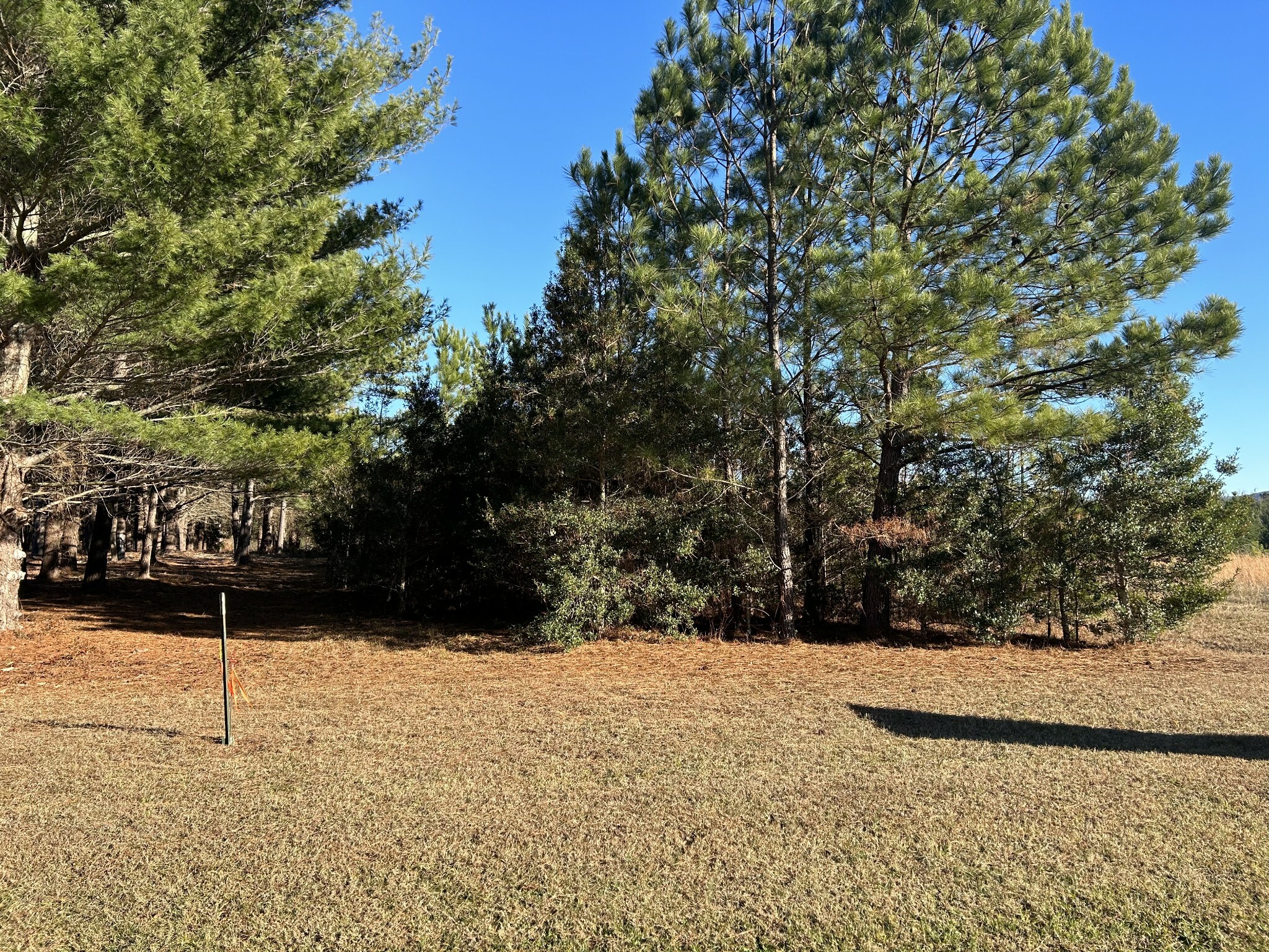 Property Photo:  3103 Hickerson Road  TN 37355 