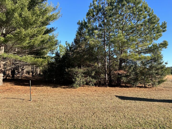 Property Photo: 0 Hickerson Road TN 37355