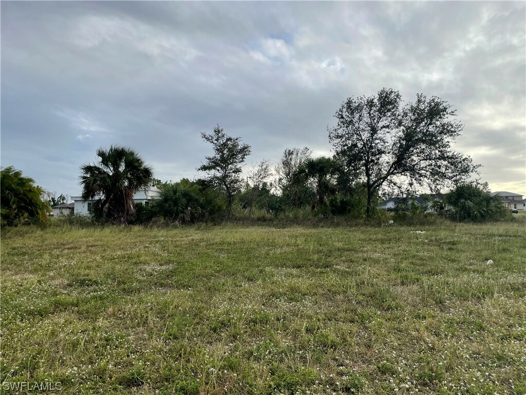 Property Photo:  2302 SW 16th Terrace  FL 33991 