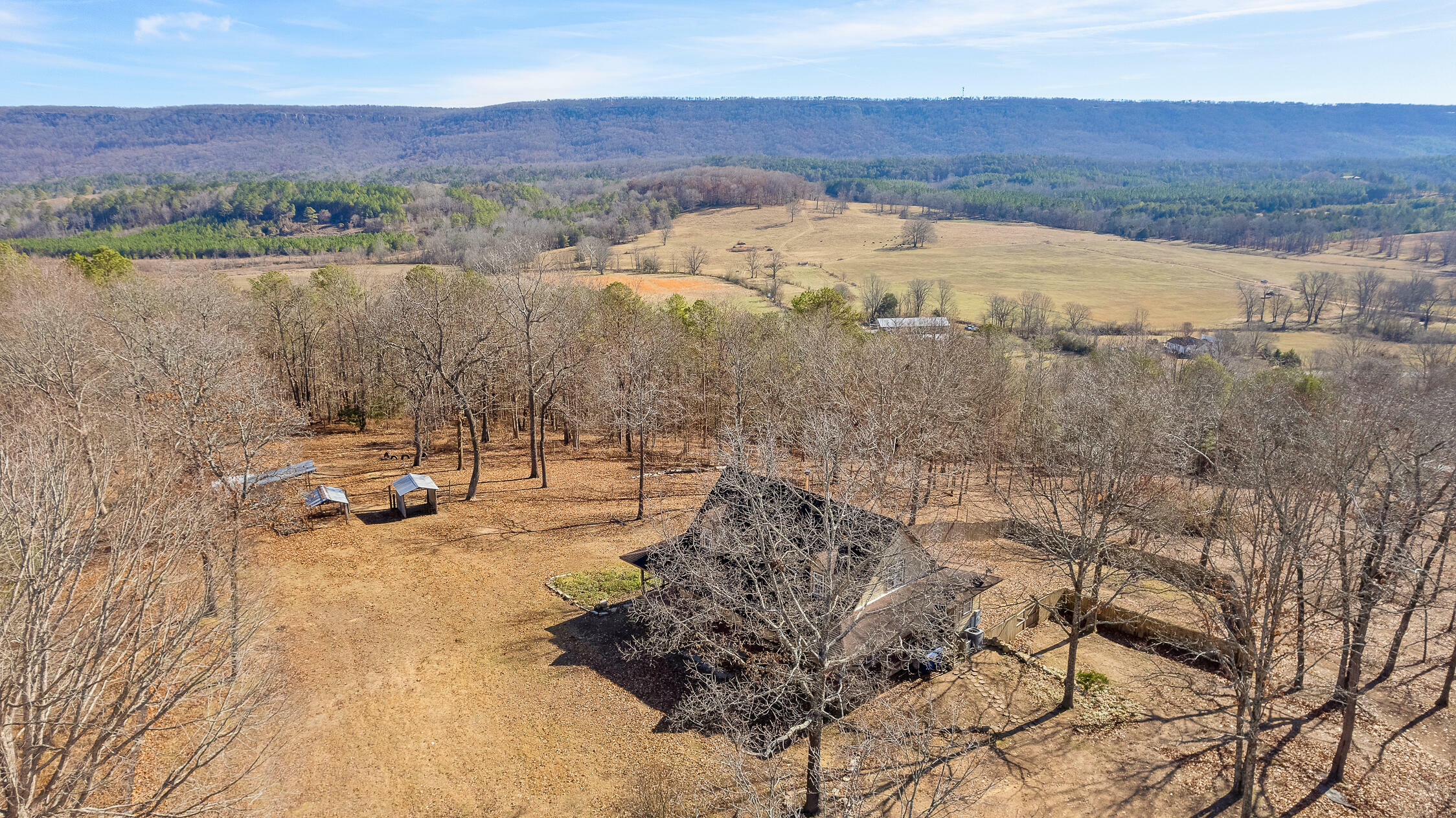 Property Photo:  166 County Road 1965  AL 35989 