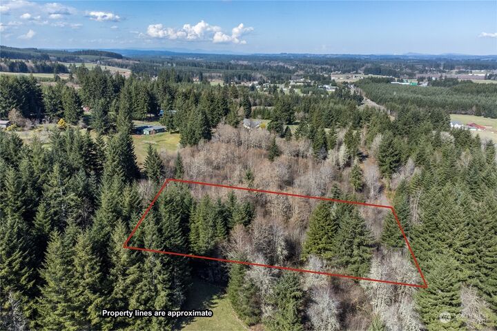 139 Silverthistle Road  Winlock WA 98596 photo