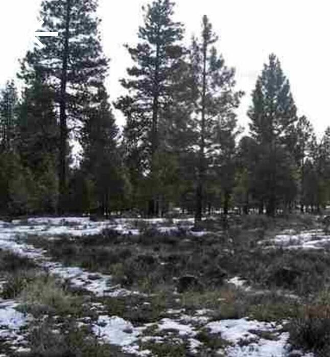 Property Photo: Misty Mountain 5-Lot OR 97603