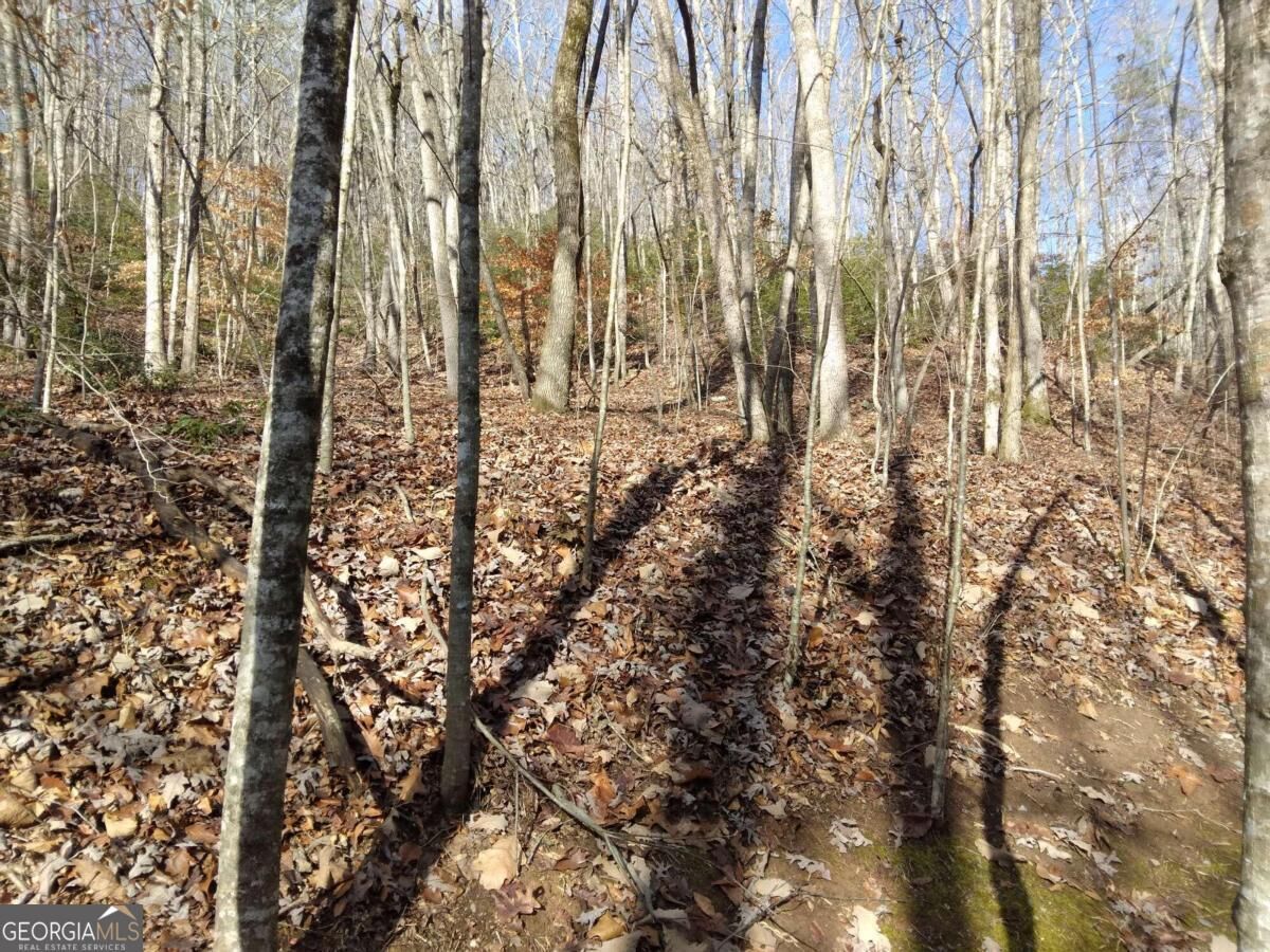 Property Photo: 0 Cherokee Circle 8 GA 30540