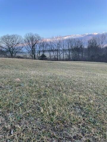Property Photo:  1800 35 Tract 9 Hwy  KY 41083 