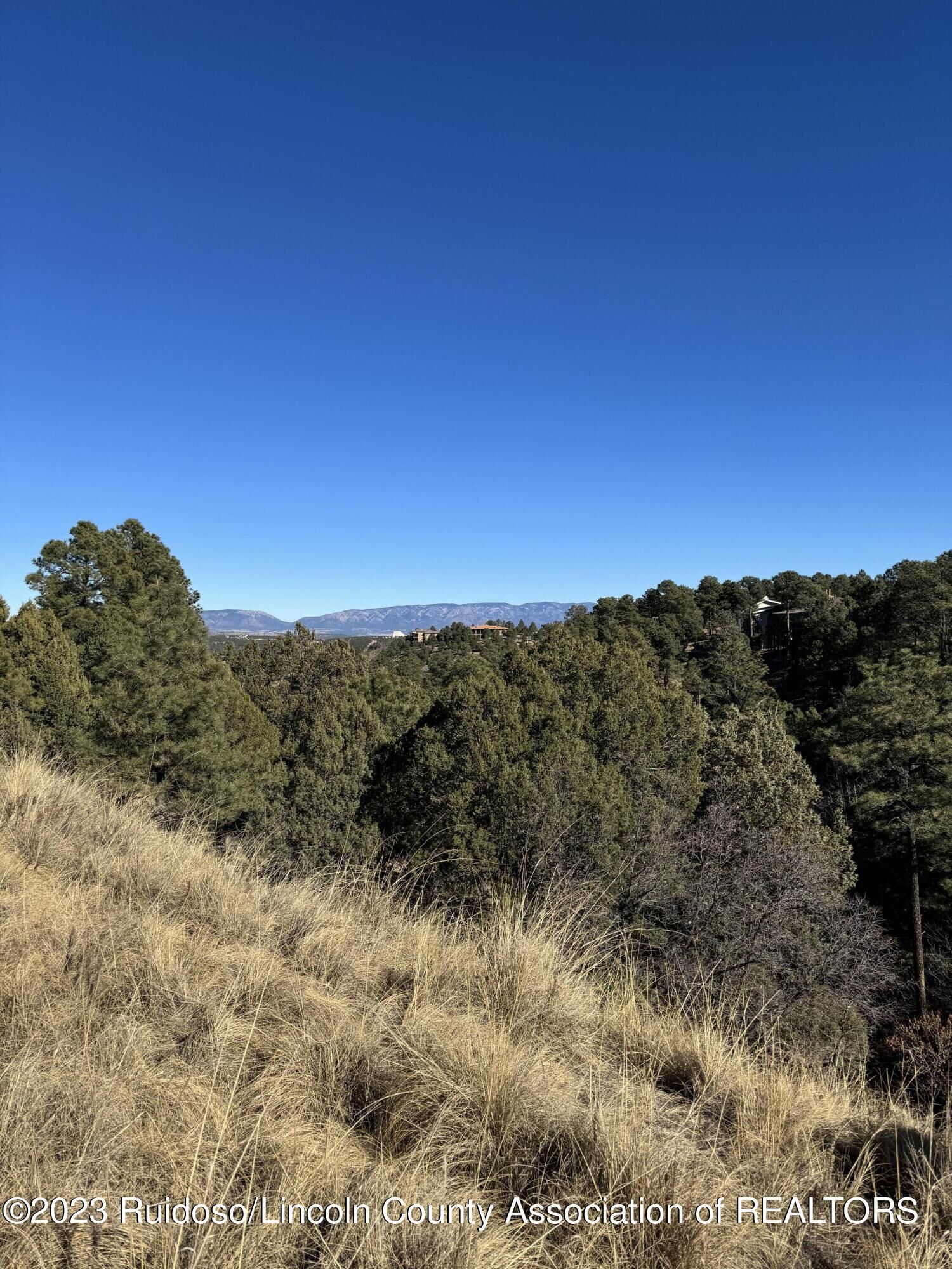 Property Photo:  1401 High Mesa Drive  NM 88312 
