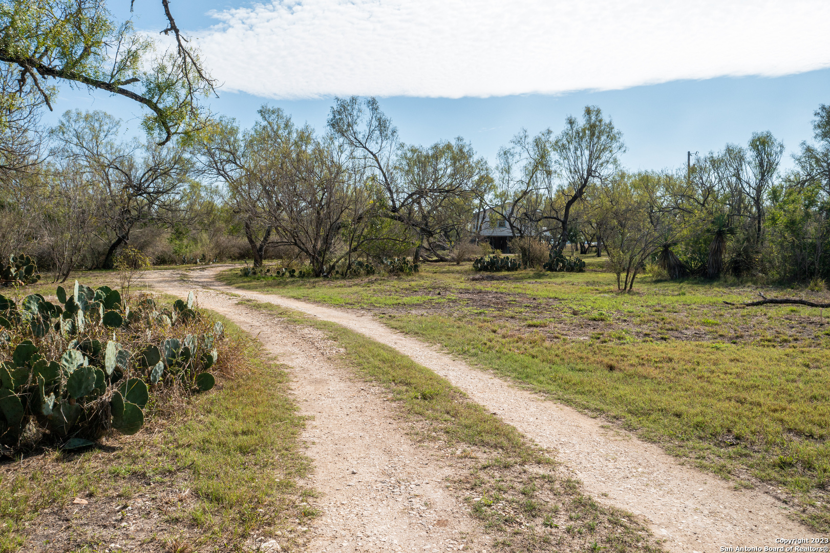 Property Photo:  224 County Road 4581  TX 78861 