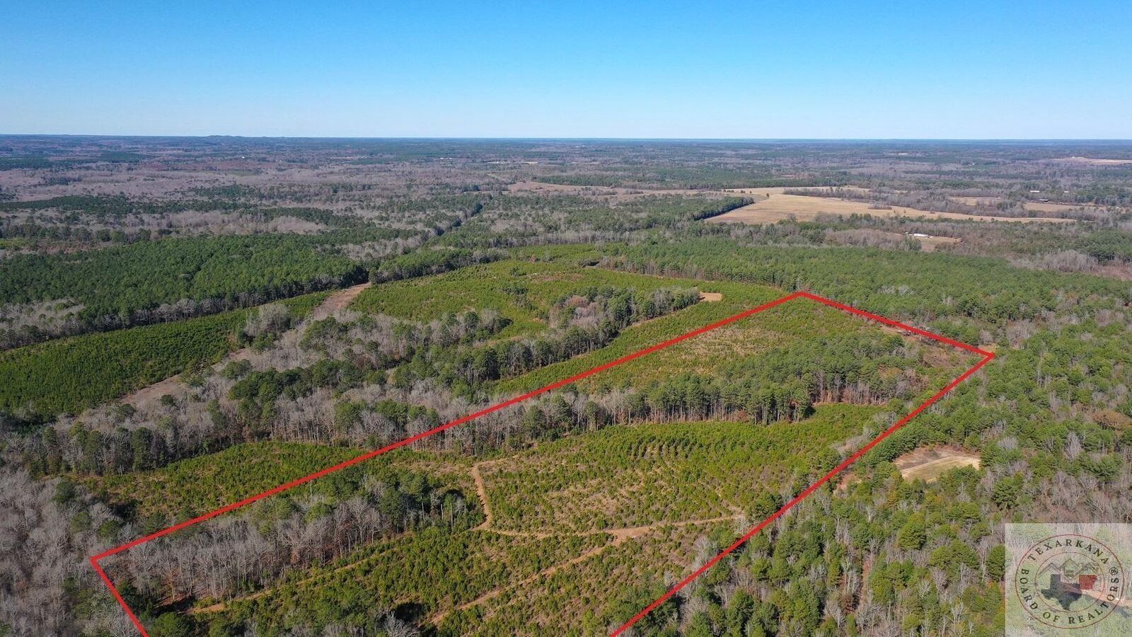 Property Photo:  0001 Cr 1115 Tract 1  TX 75551 