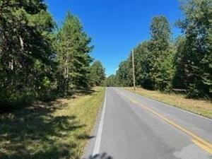 Property Photo:  0 Highway 157  GA 30731 