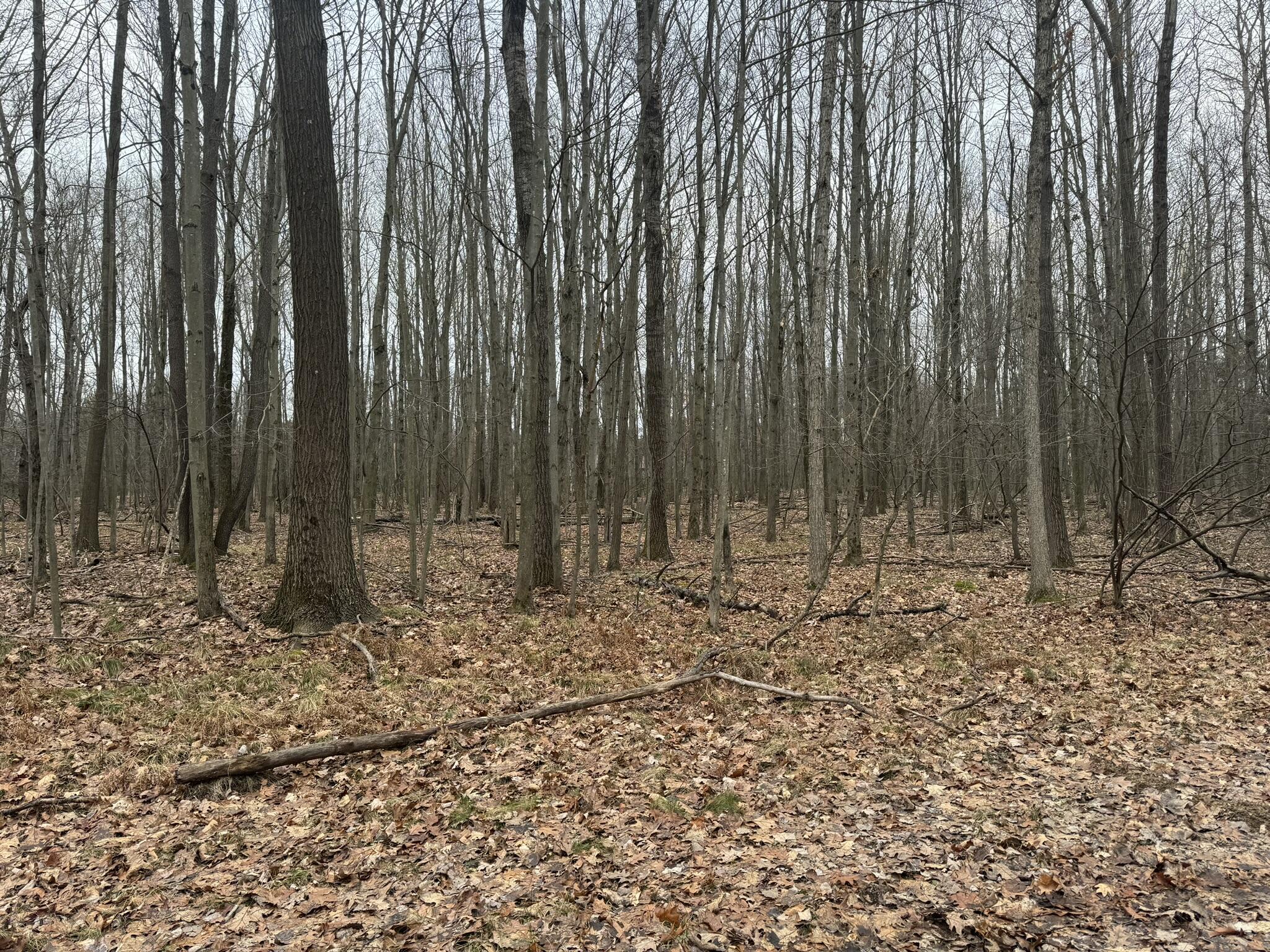 Property Photo: 6080 Deerfield Road MI 49346