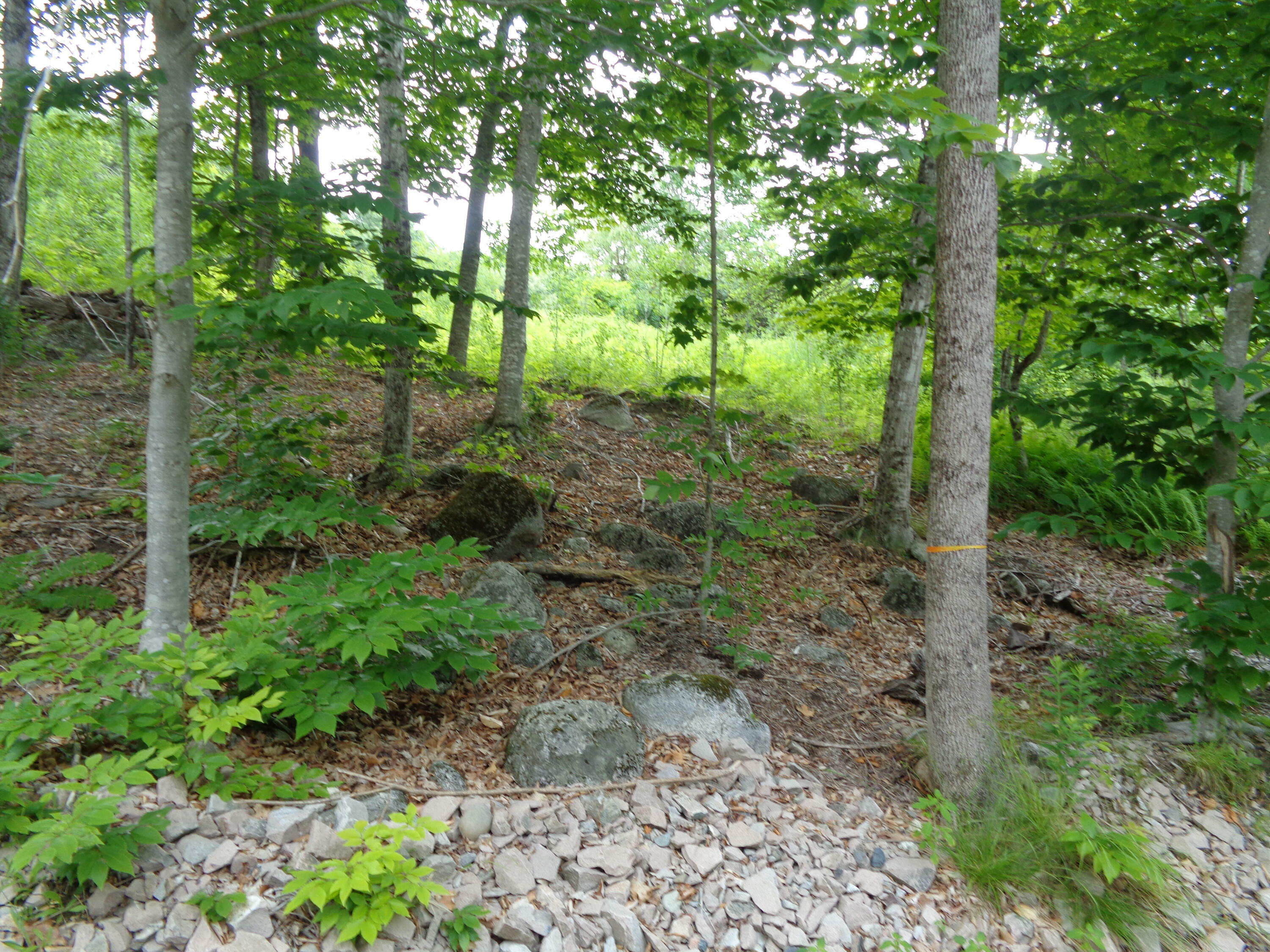 Property Photo:  Lot 6 Manhattan Way  ME 04605 