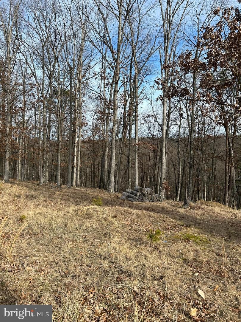 Property Photo: Lot 49 Plum Tree WV 25411