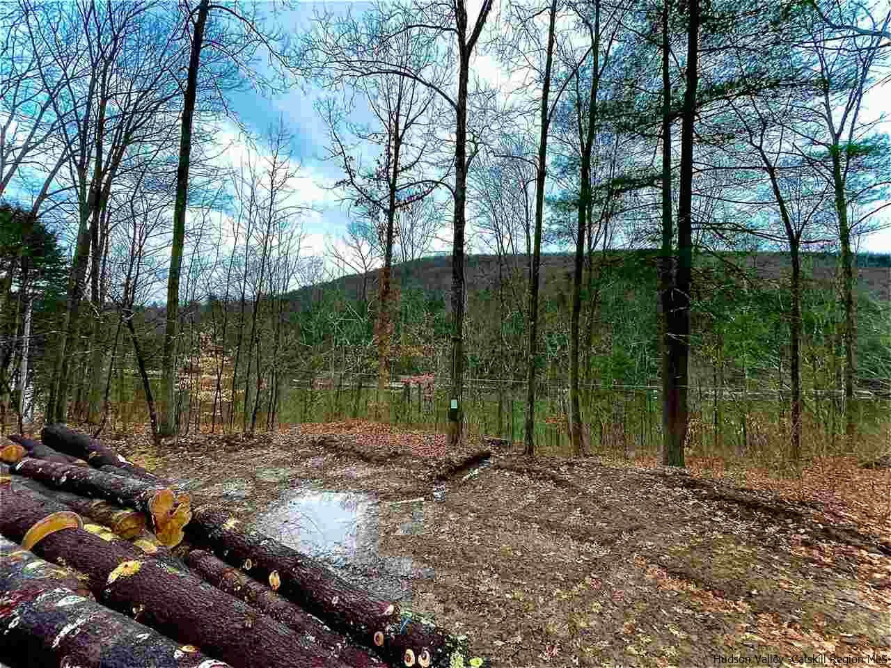 Property Photo:  Lot 1 Acid Factory  NY 12760 