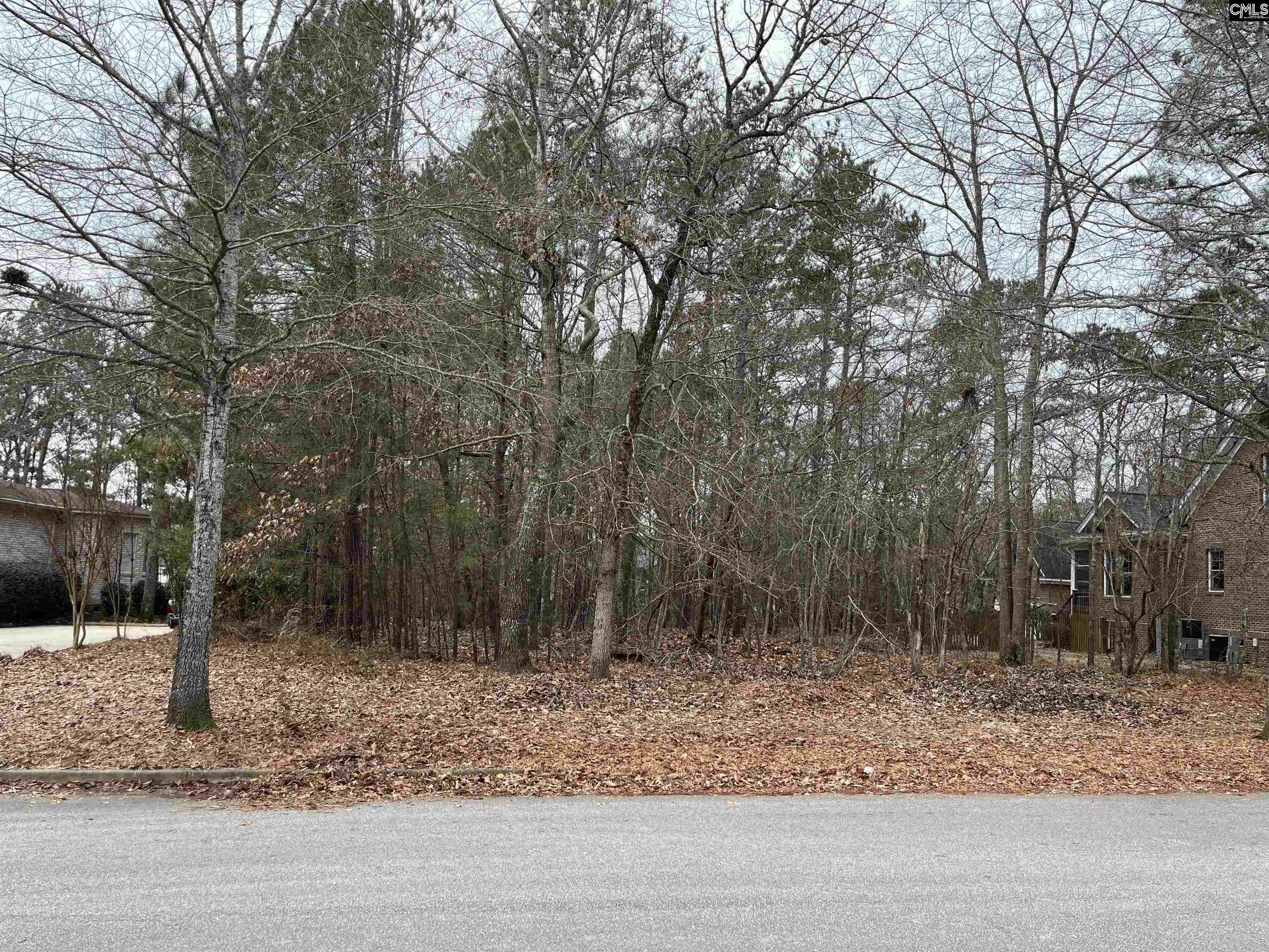 Property Photo:  340 Lake Carolina  SC 29229 