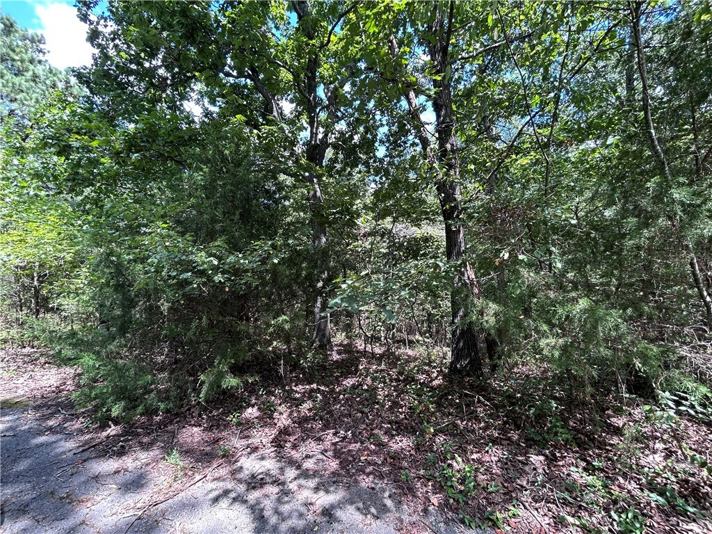 Property Photo: Lot 4, Block 2 Findhorn Lane AR 72715
