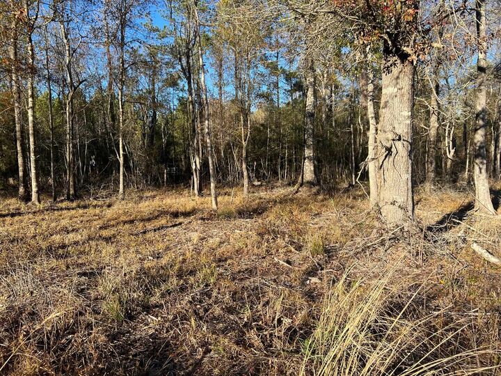 Property Photo: 2945 Fm 2246 TX 77612