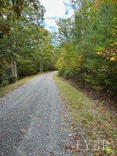 Property Photo:  1 Laurel Hollow Rd  VA 24483 