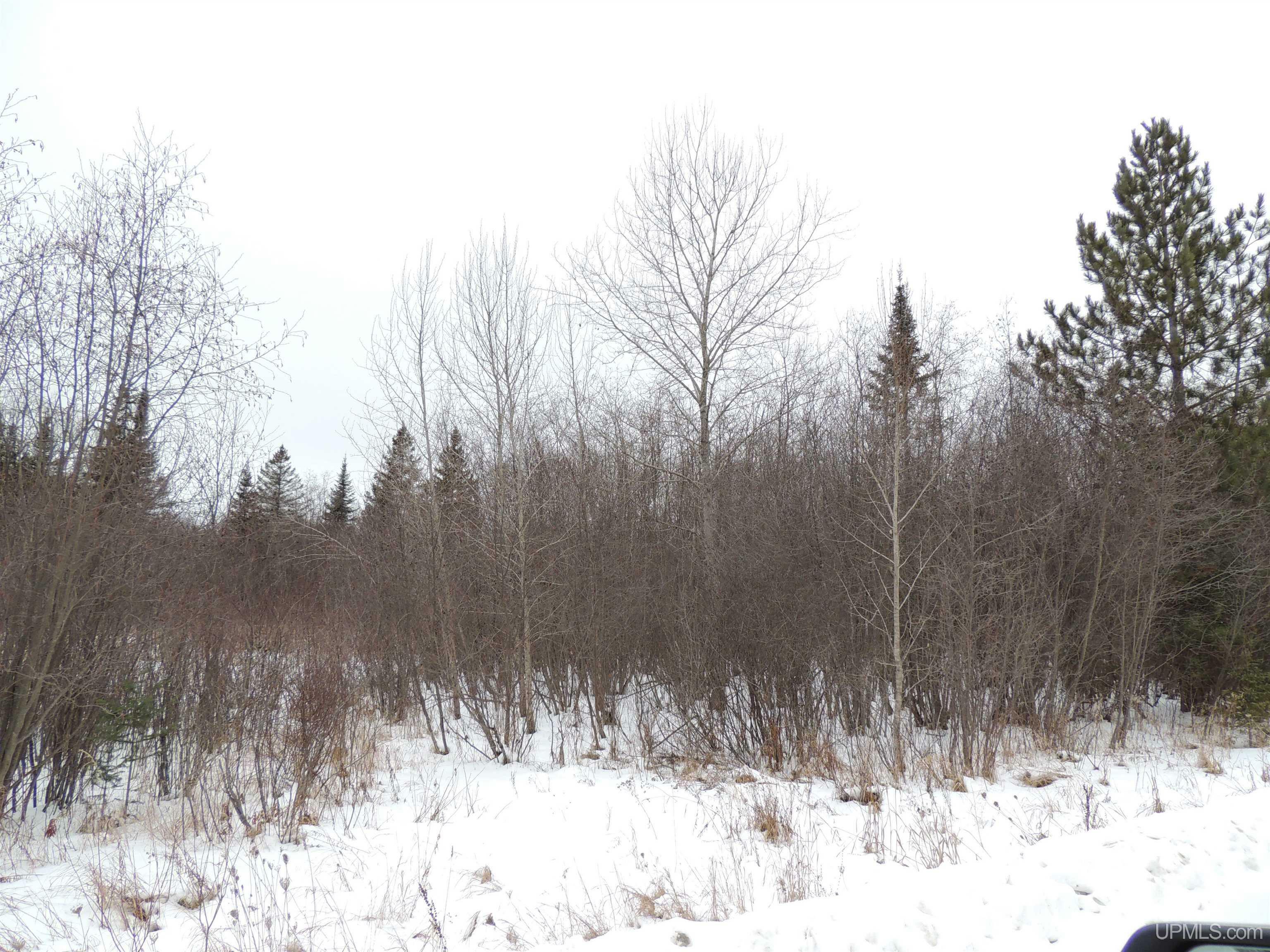 Tbd Squaw Creek 18th  Rapid River MI 49878 photo