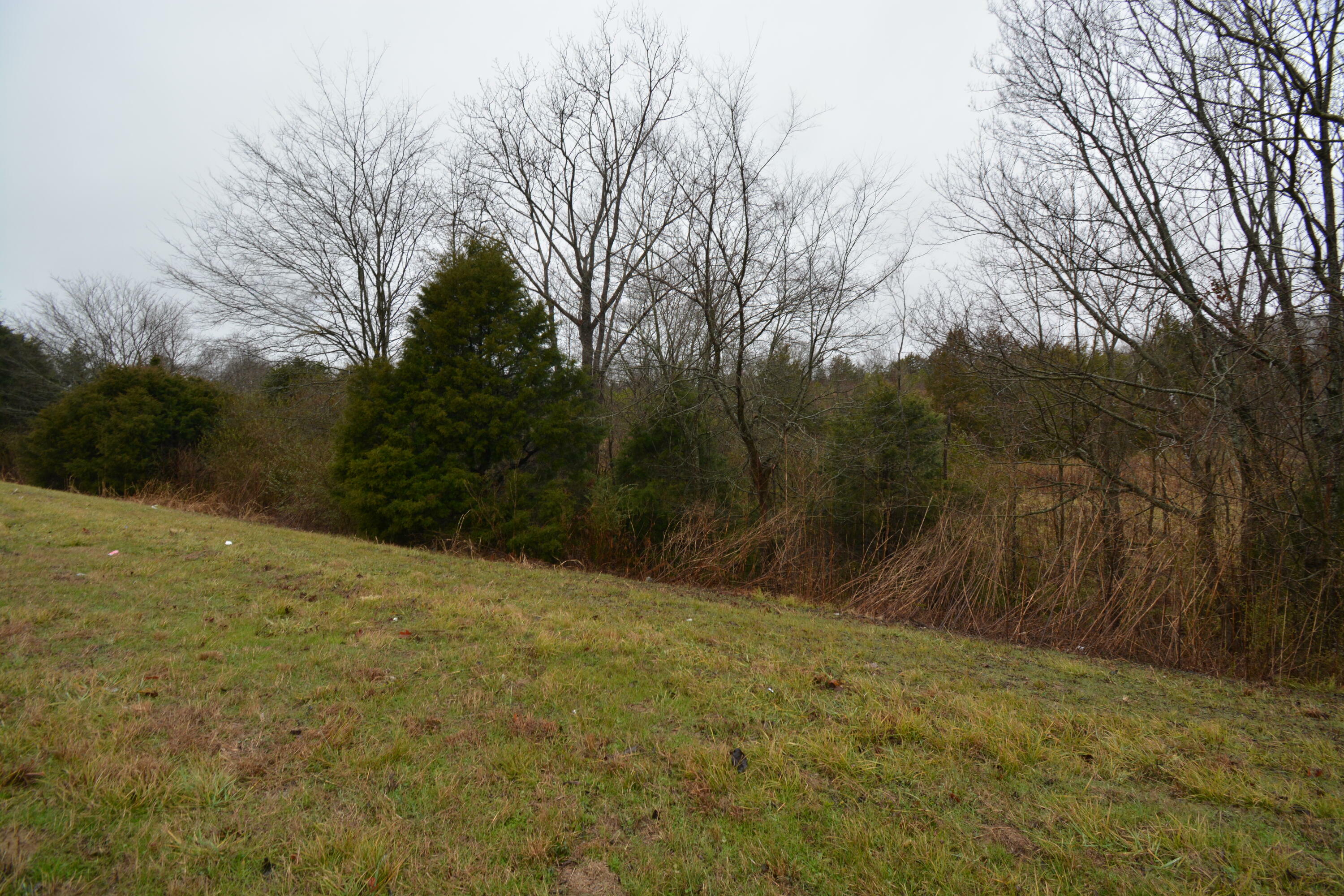 Property Photo:  County Road 783  MS 38866 