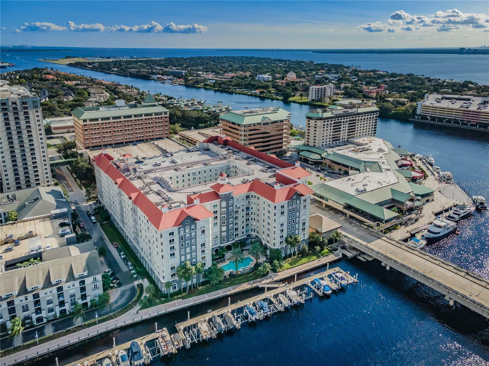 Property Photo:  700 S Harbour Island Boulevard 542  FL 33602 