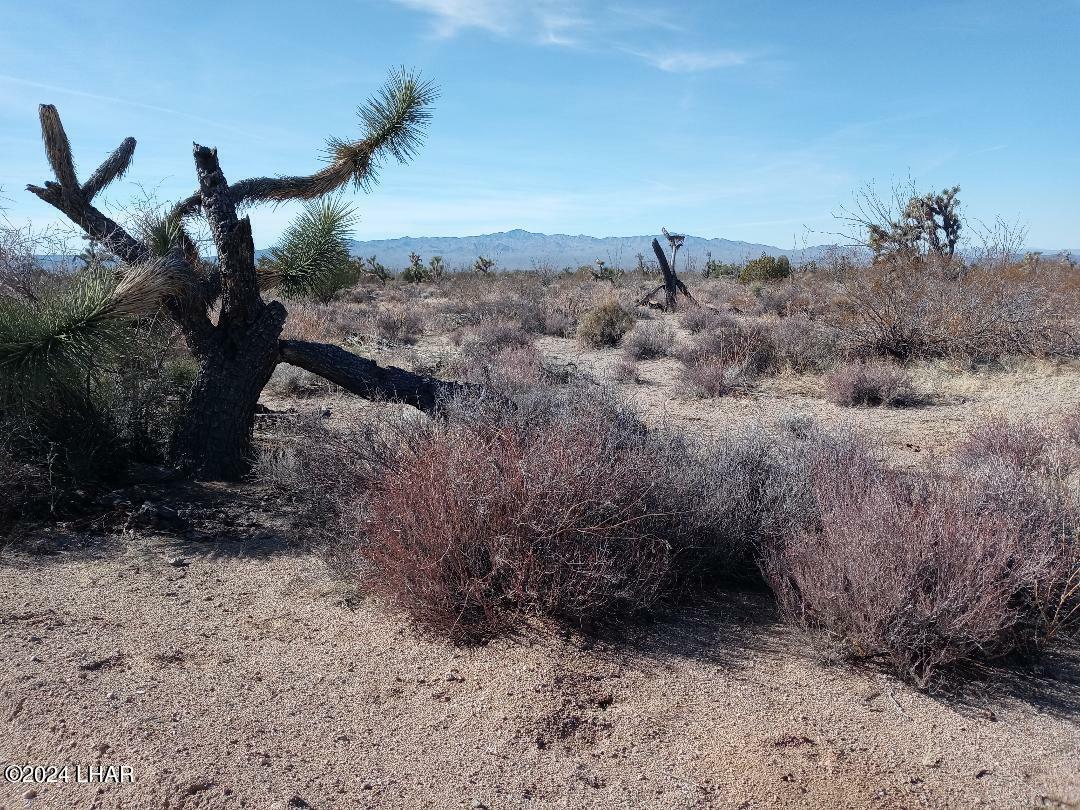 Property Photo: Parcel 439 S Tom Mix Road AZ 86438