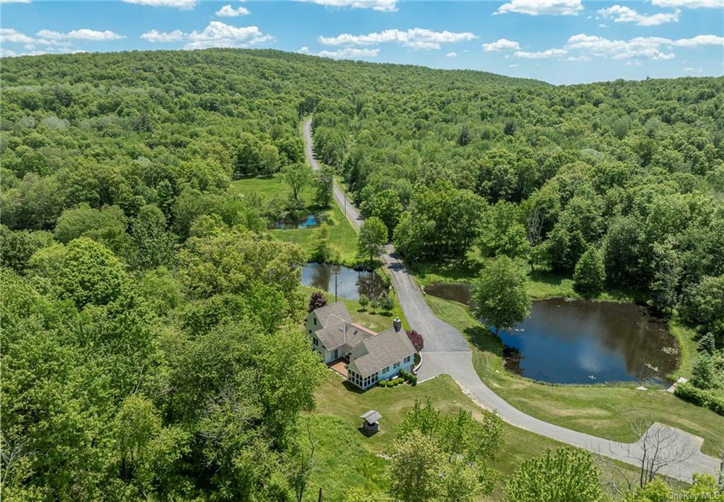 Property Photo:  368 Skiba Road  NY 12567 