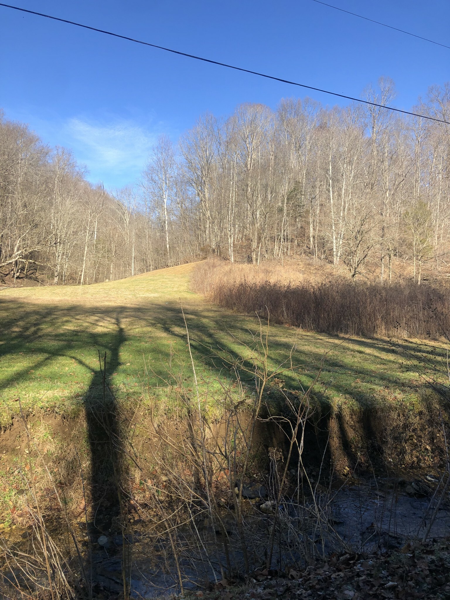 0 Phillips Hollow Rd  Westmoreland TN 37186 photo