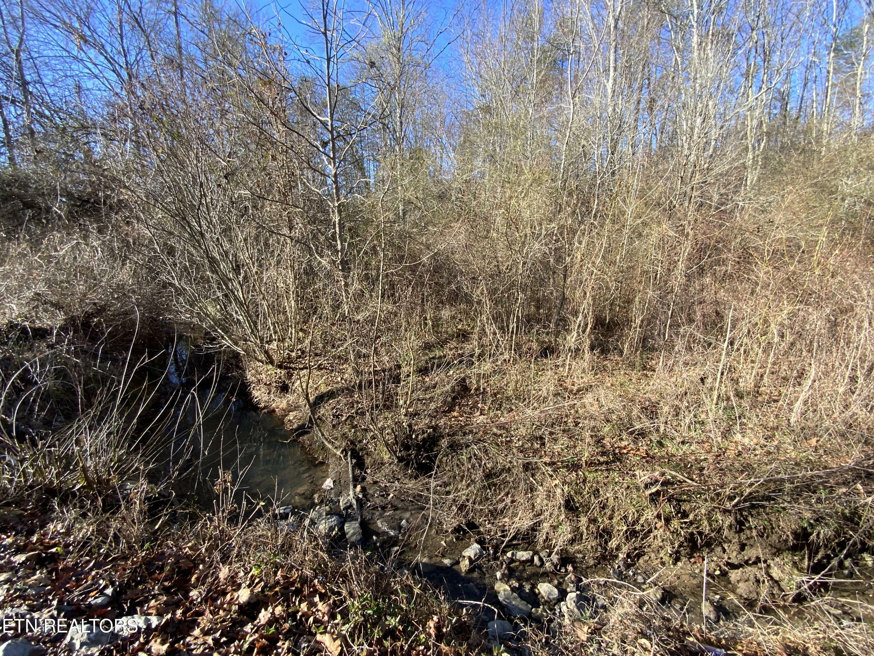 Property Photo:  9 Acres New Midway Rd  TN 37763 