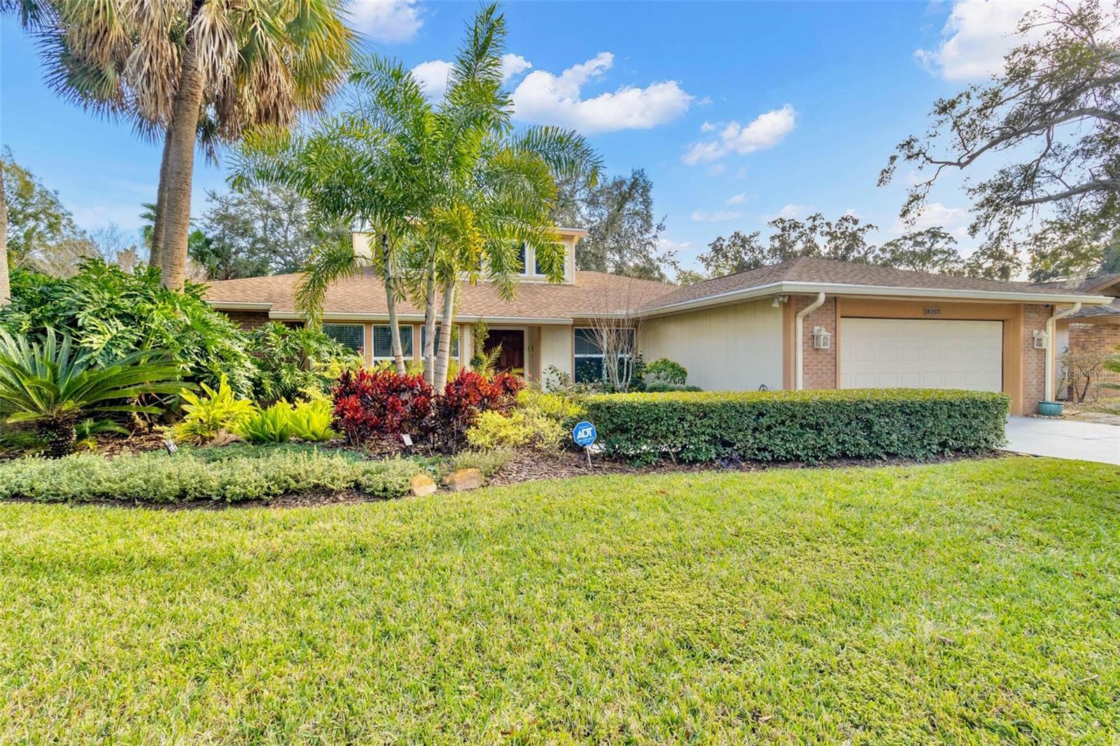 Property Photo:  14203 Ashburn Place  FL 33624 