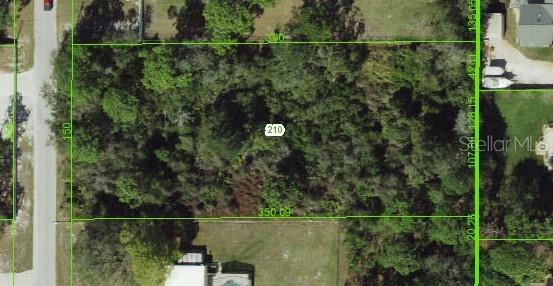 Property Photo:  Red Oak Loop  FL 34654 