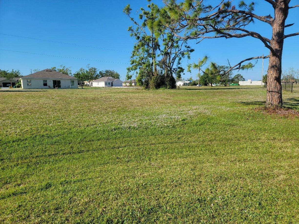 Property Photo:  25172 Cadiz Drive  FL 33955 