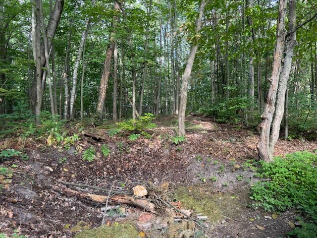 Property Photo: #4 S Perch Lake Drive MI 49735