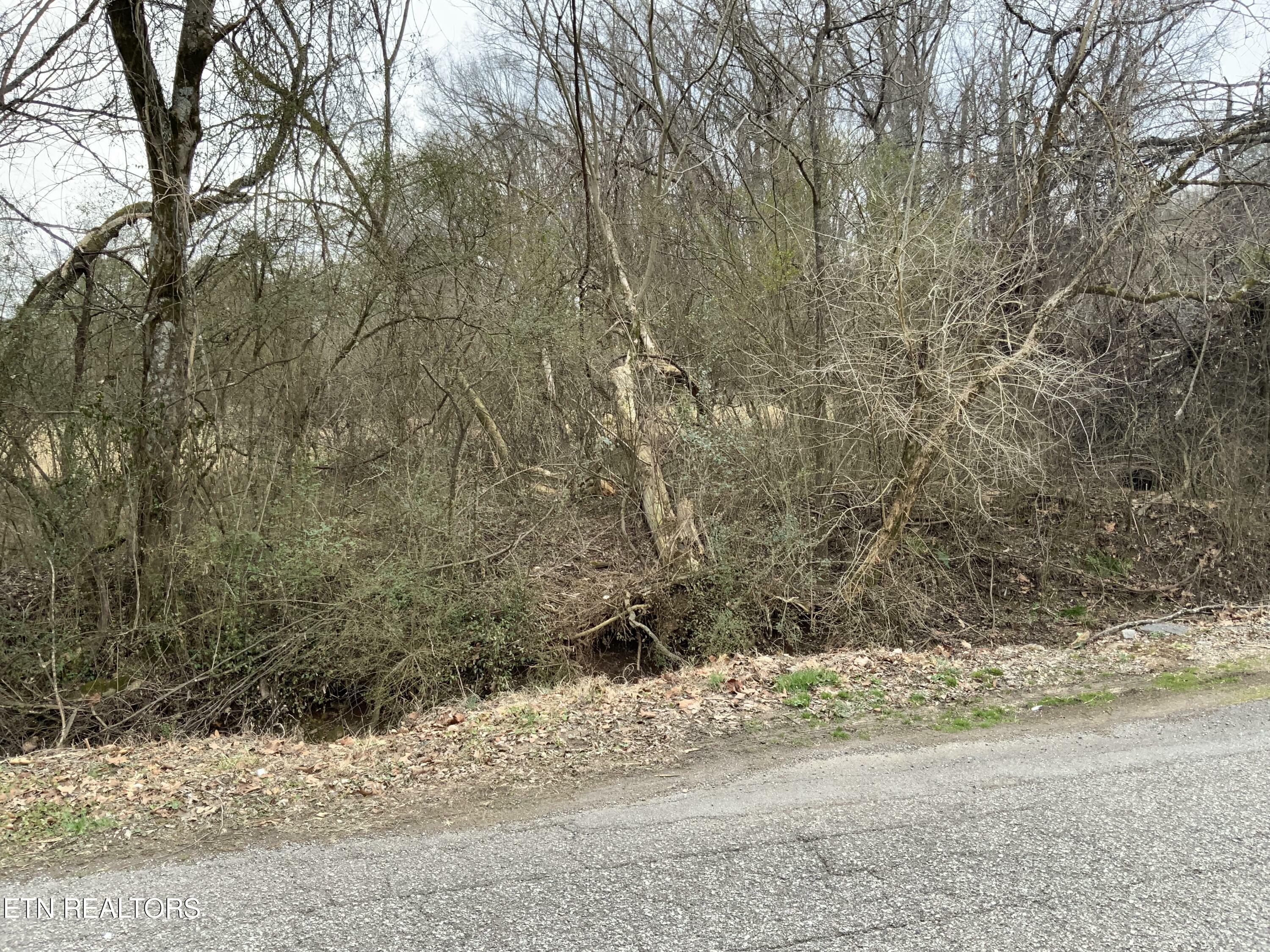 Property Photo:  Old Highway 70  TN 37854 