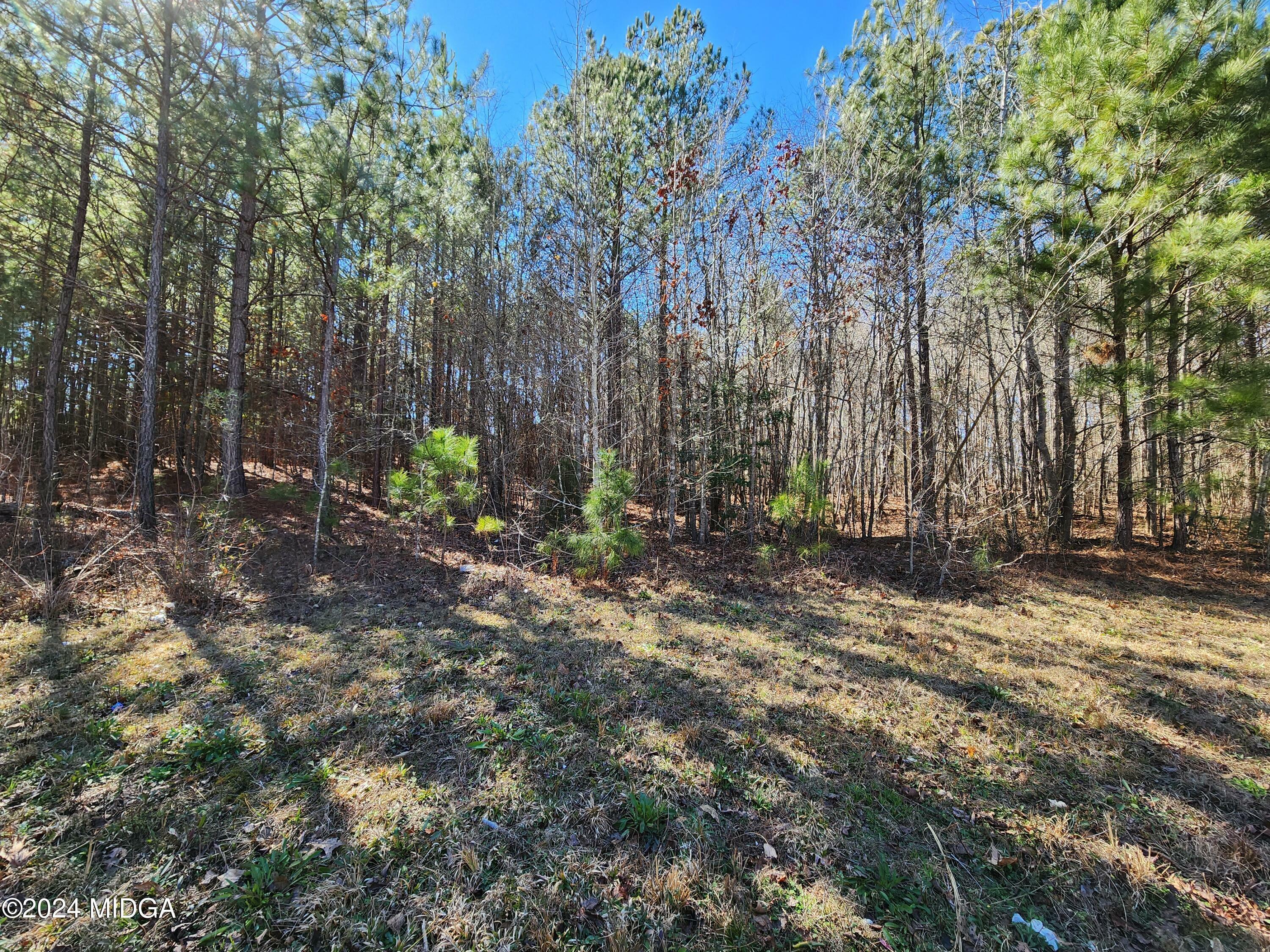 Property Photo:  Lot 63 Beaty Circle  GA 30216 