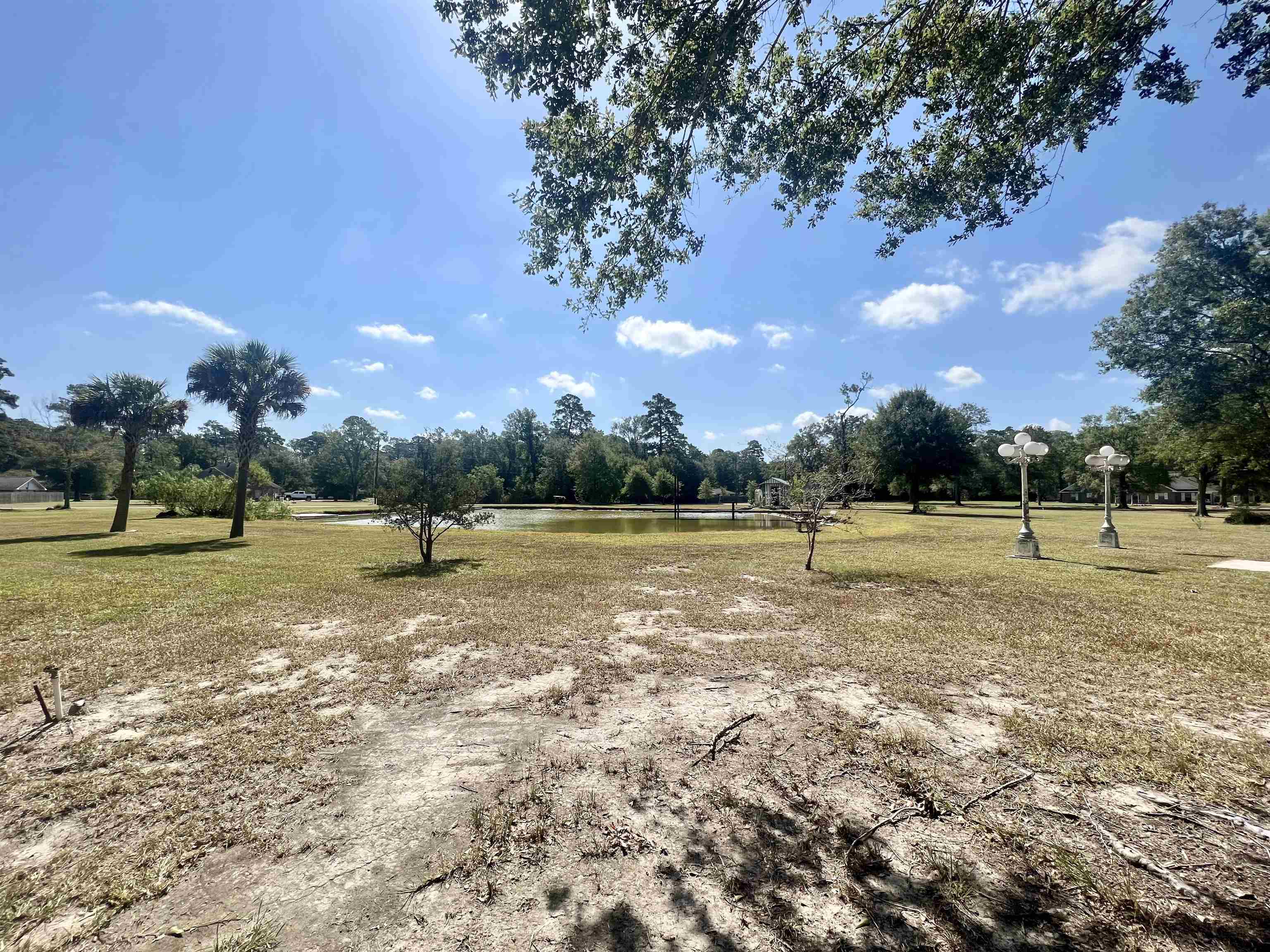 Property Photo:  800 McDaniel  TX 77662 