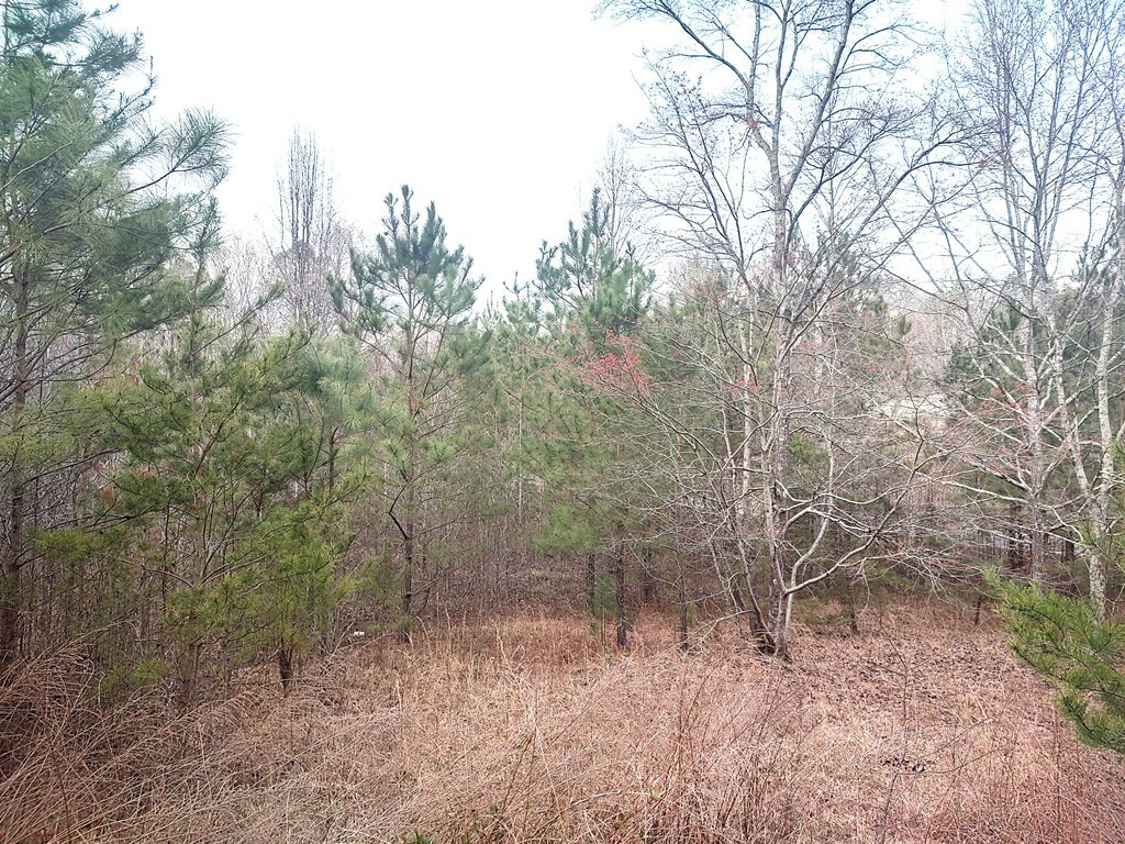 Property Photo:  1218 North Pass  GA 30705 