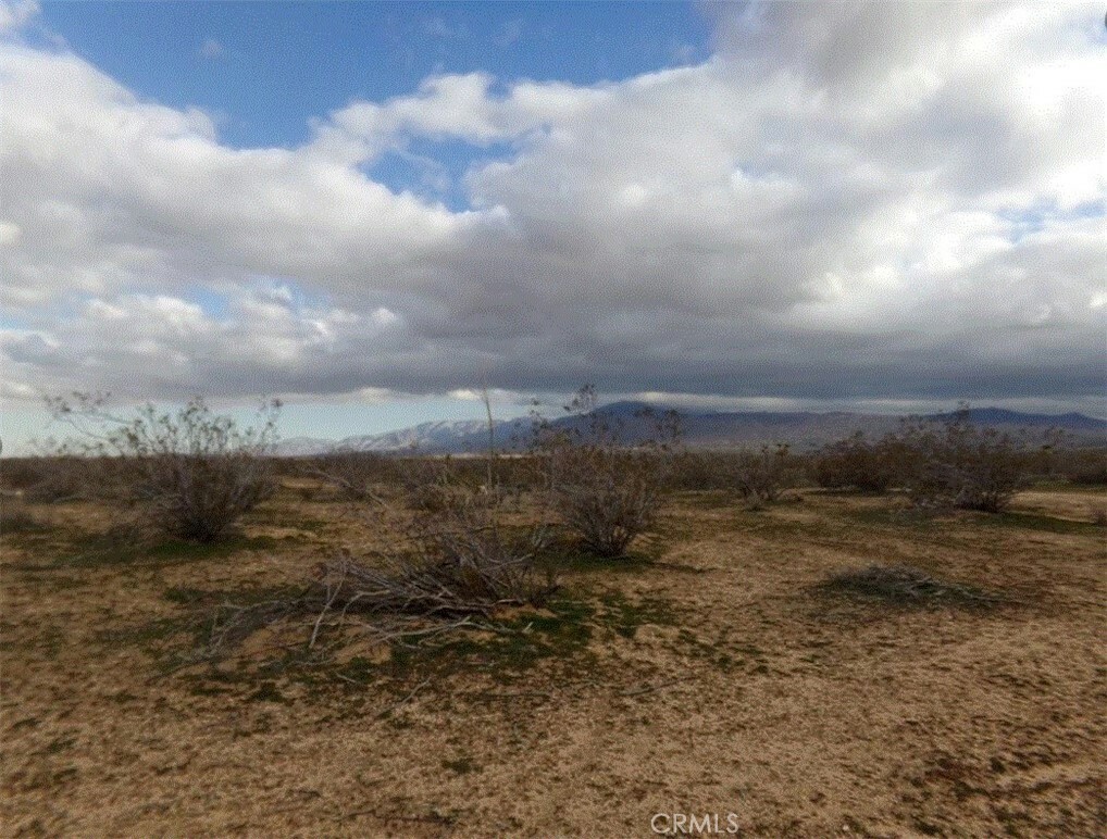 Property Photo:  0 Tussing Ranch Rd  CA 92308 