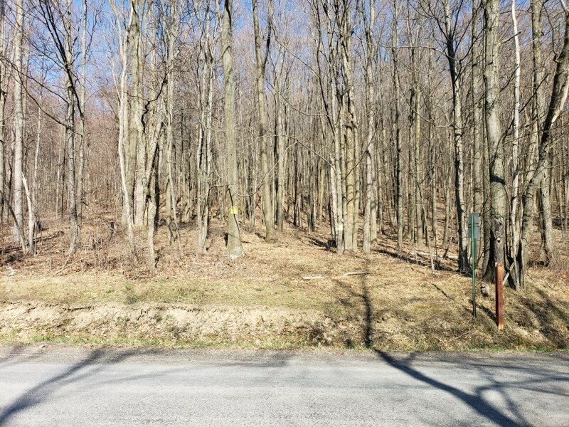 Property Photo:  Lot 16 Wicks Road  NY 14865 