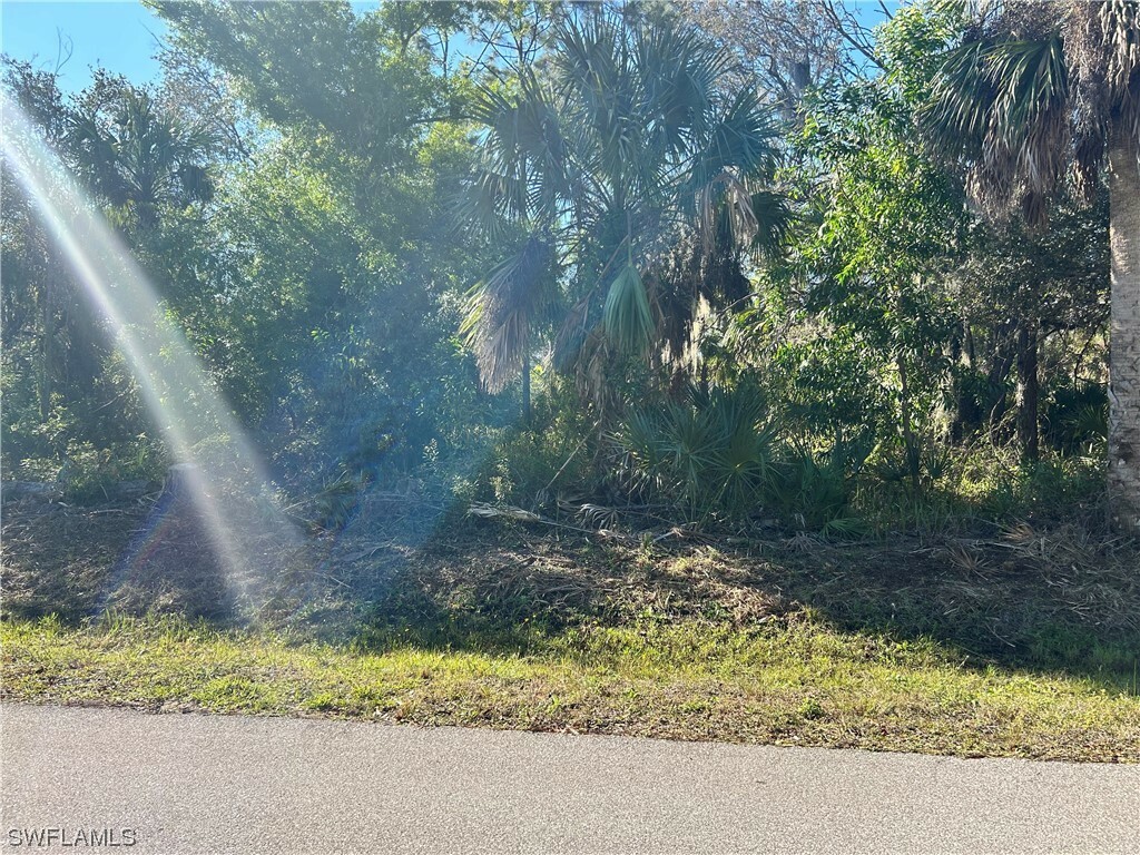 Property Photo:  26129 Flower Road  FL 33955 