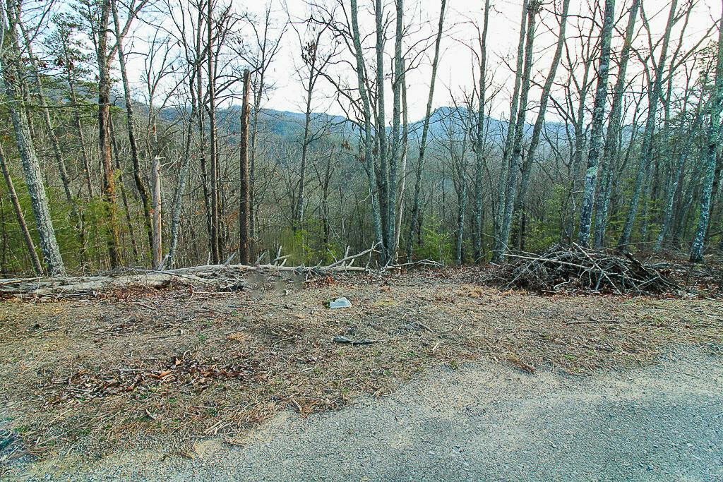 Acre Portion Of Parcel 54 004.00 Overhill Way  Sevierville TN 37876 photo