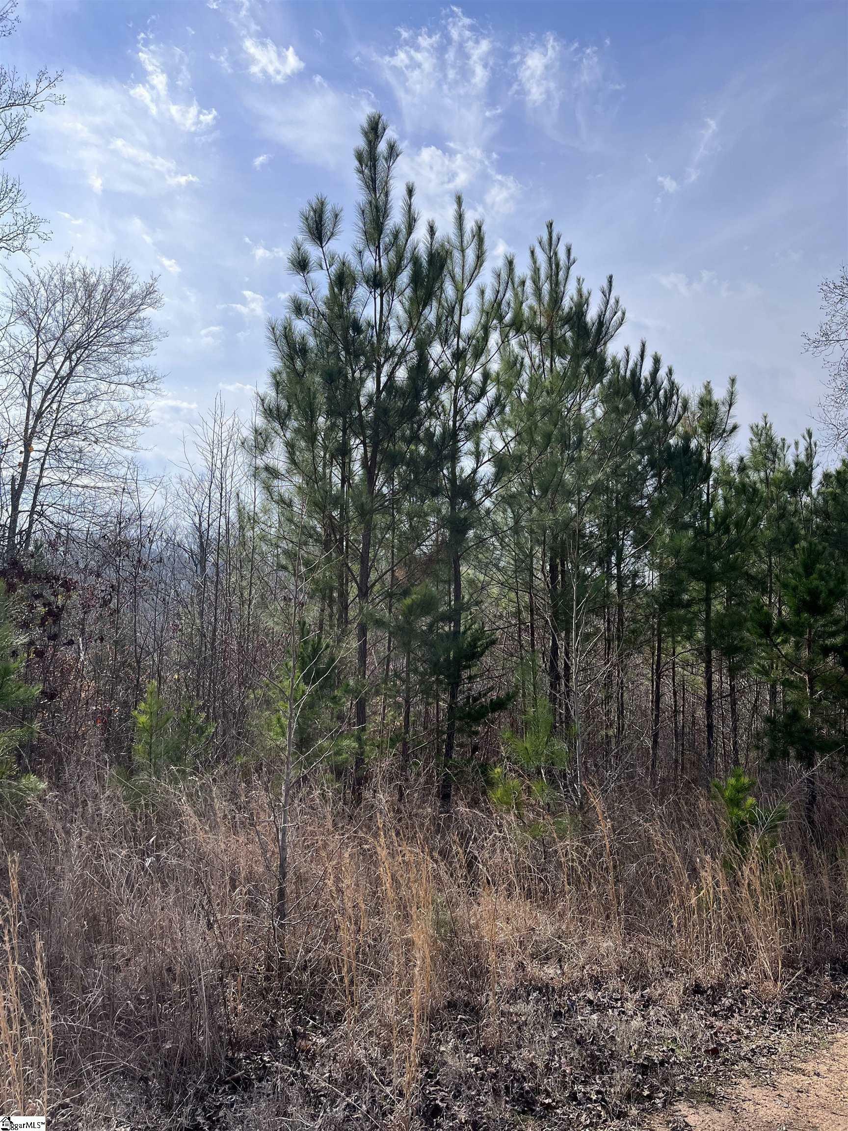 Property Photo:  0 S Lakeview Drive Lot 23  SC 29643 