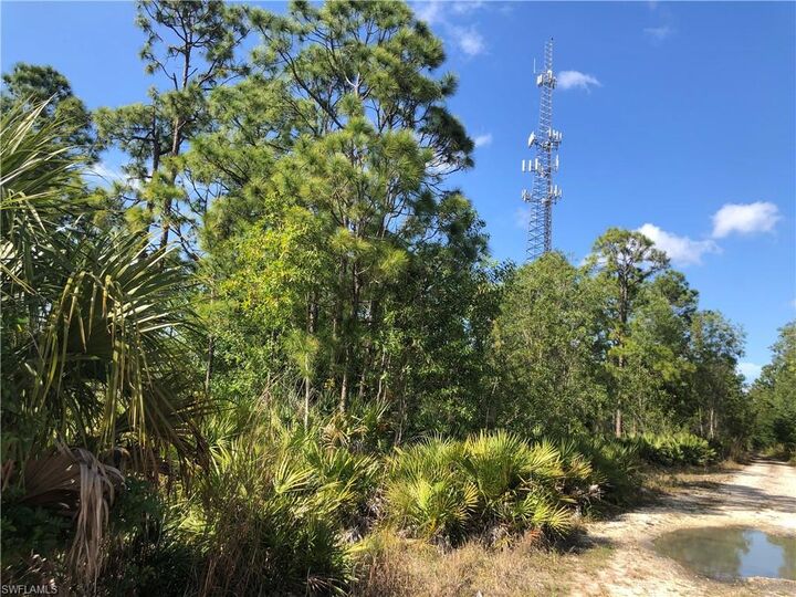 Property Photo:  19665 Immokalee Rd  FL 34120 