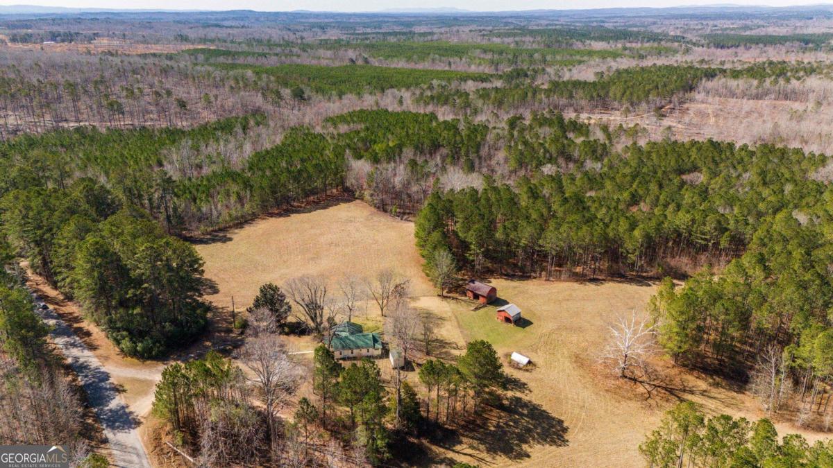 Property Photo: 735 County Road 80 AL 36269