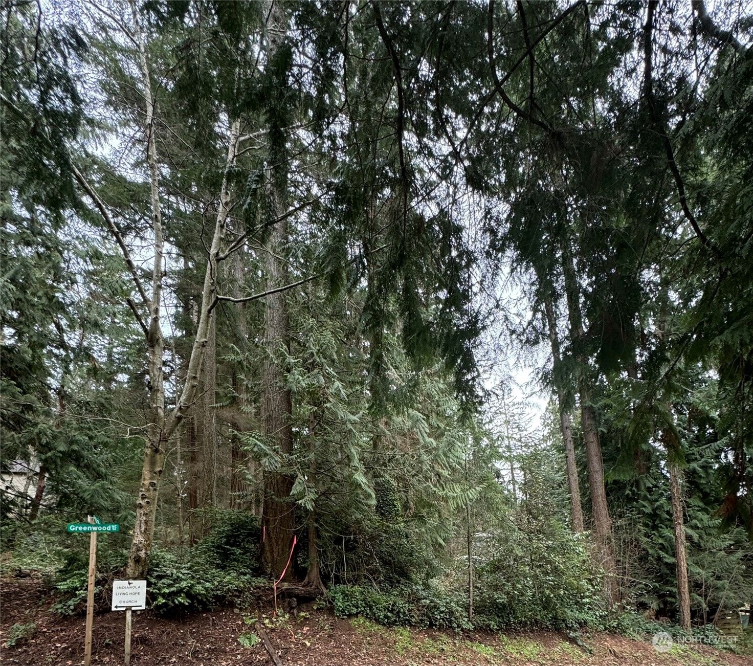 Property Photo:  1111 Xx Greenwood & Park Street NE  WA 98342 