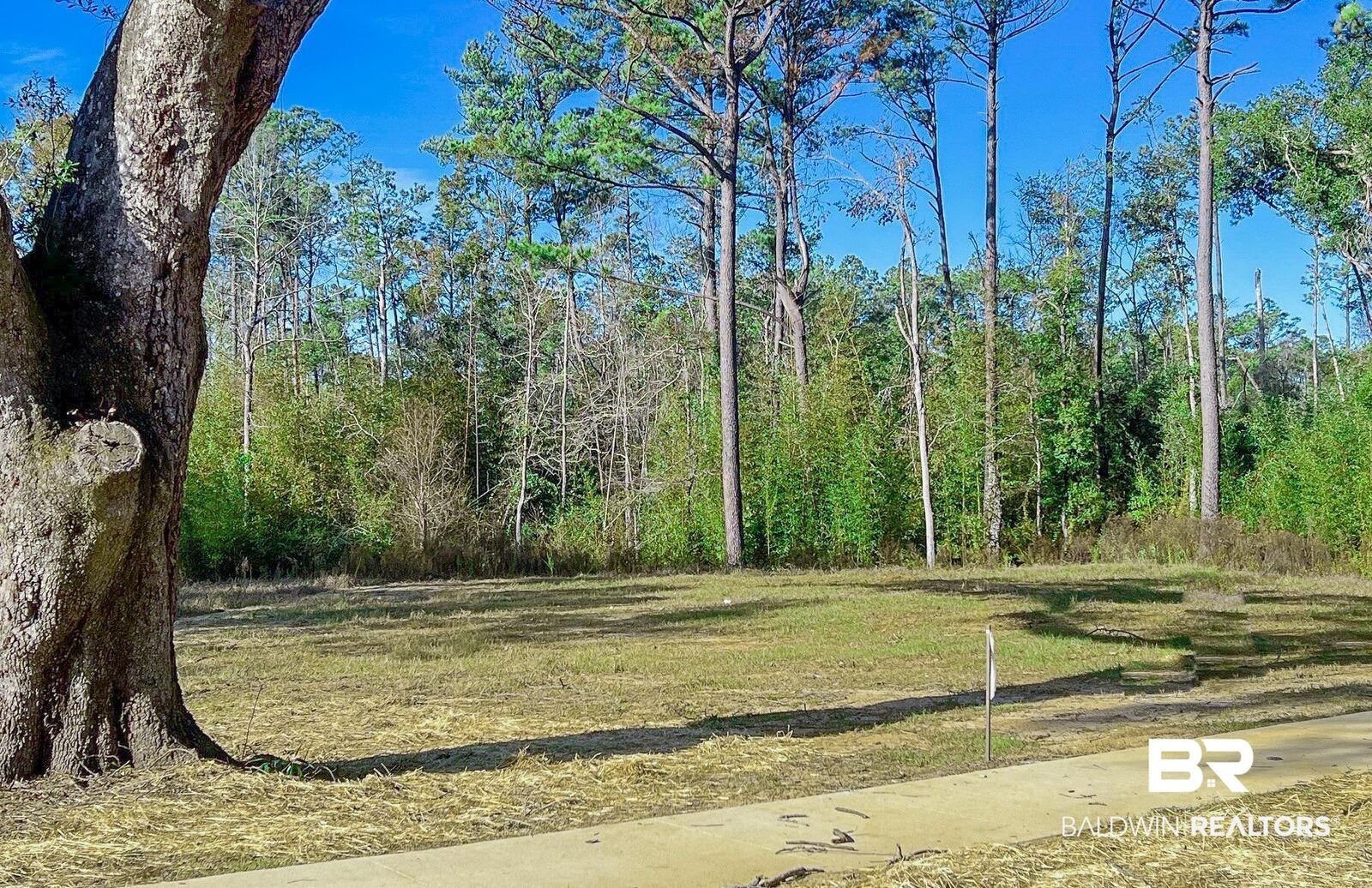 Property Photo:  0 Calyx Circle  AL 36532 