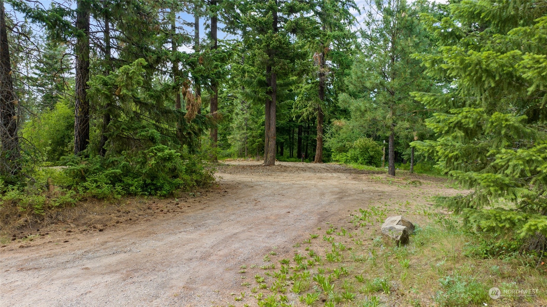 Property Photo:  243 Bull Elk Road  WA 98922 