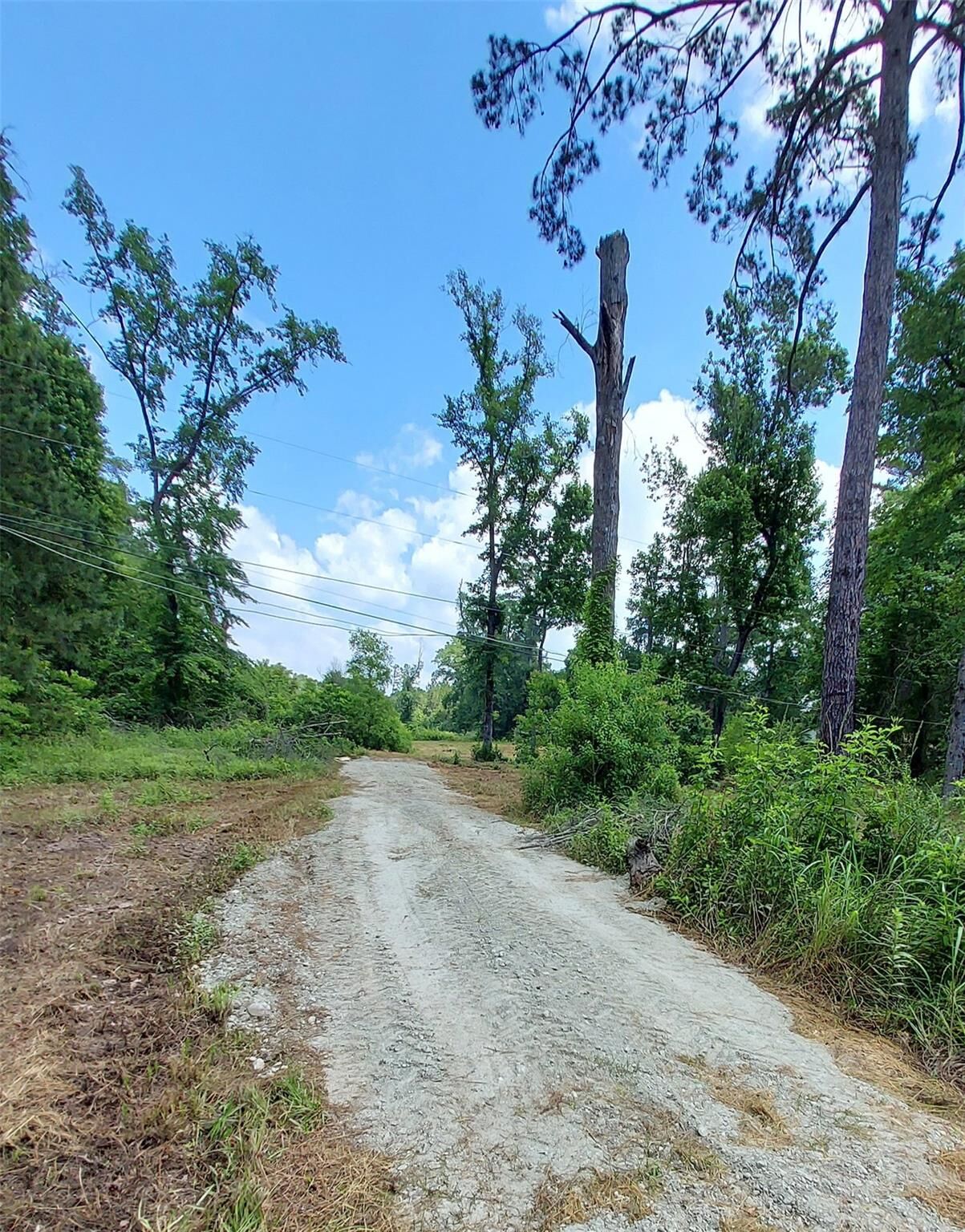 Property Photo: 613 Fm 2663 TX 75835