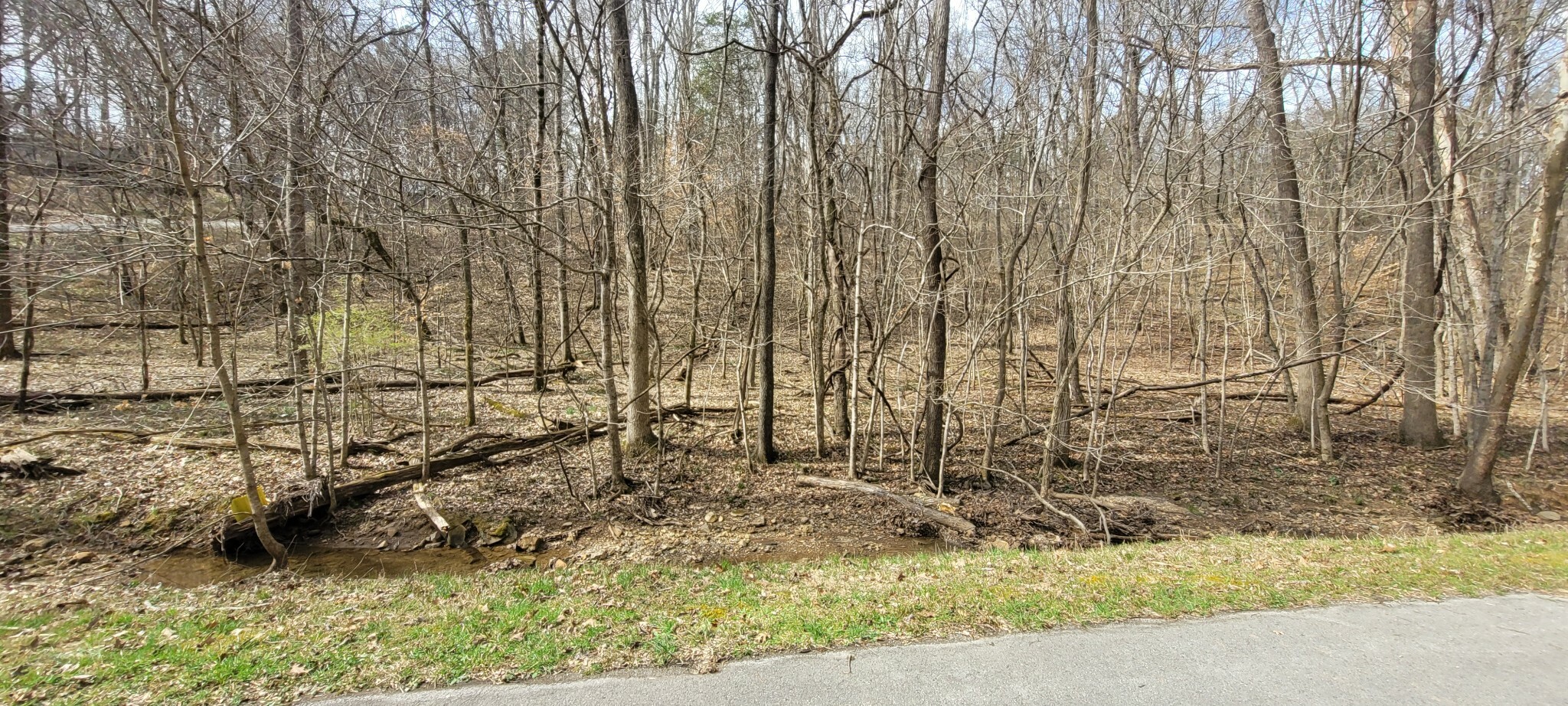 Property Photo:  1 Lakeshore Cir  TN 37058 