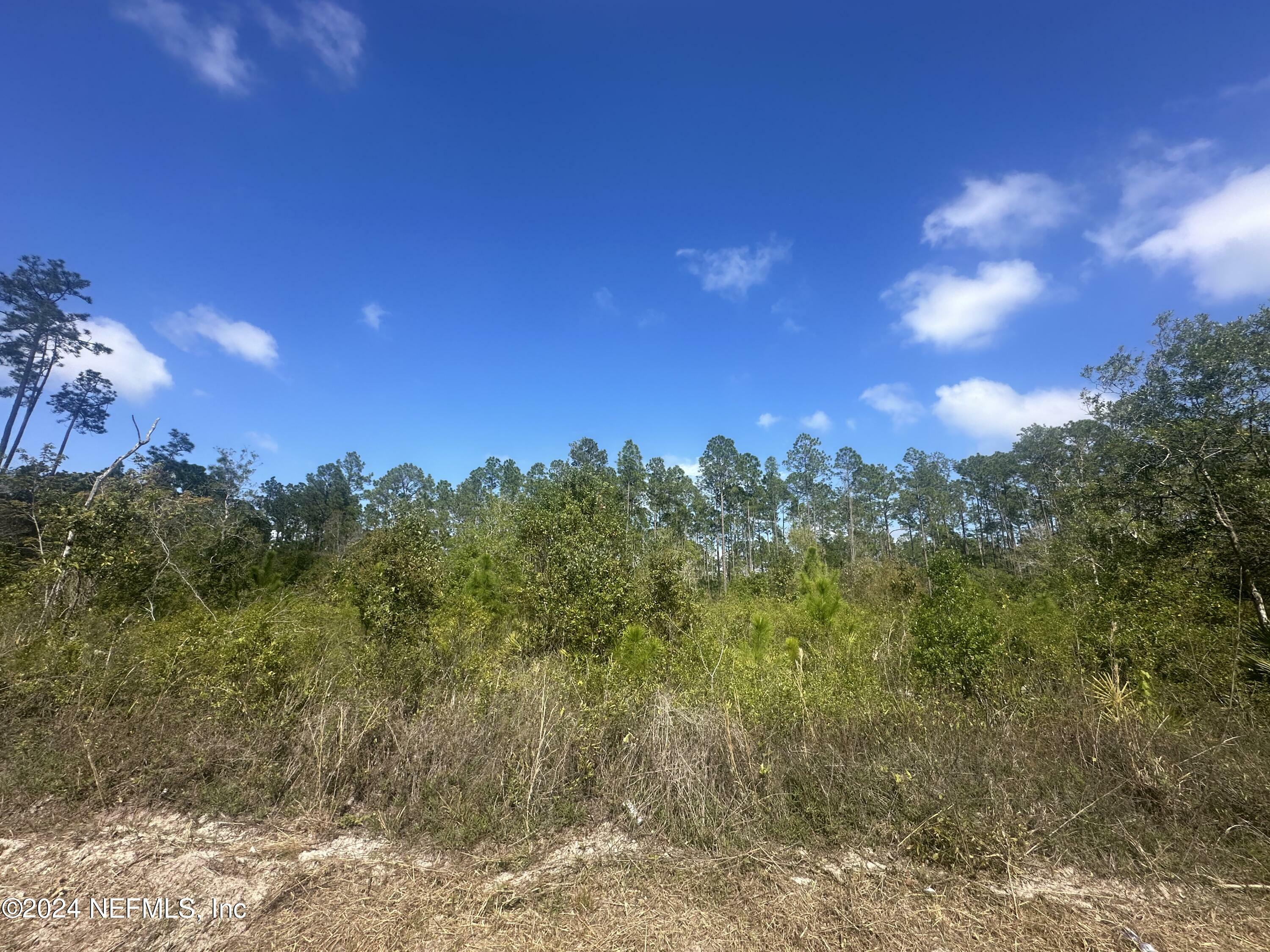 Property Photo:  306 Millican Road  FL 32177 