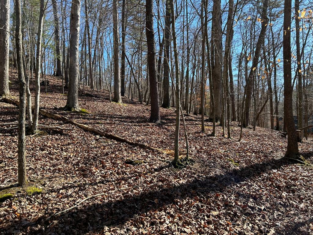 Property Photo: 0 Chattle Way GA 30540